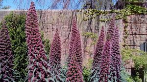 20170506_143748.jpg